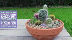11 plastic deep rectangle planter dish terrarium, decorative succulent cactus pot, bonsai flower container for home, garden and holiday decor, green, 2 pack. Cactus Dish Garden For Rainy Outdoors Youtube
