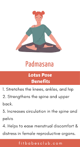 How To Do Lotus Pose And Benefits Yoga Poses For Beginners Workout For Beginners Lotus Pose Yoga