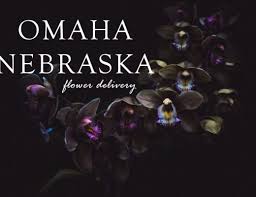 Our order system already knows the funeral home address & the service details. The 10 Best Options For Flower Delivery In St Paul 2021