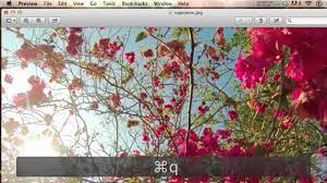 How To Convert Jpg To Png On Mac Youtube