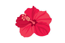 Download Hibiscus Svg Cut File By Creative Fabrica Crafts Creative Fabrica Yellowimages Mockups