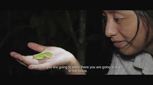 Short film takes you into the Amazon with researcher who discovered a new  frog species