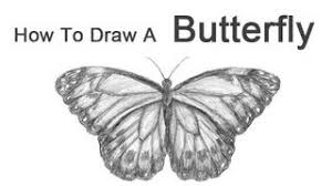 How to sketch a butterfly. How To Draw A Butterfly