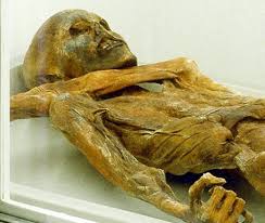 Iceman' mummy holds world's oldest blood cells