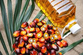 Let us know by commenting in the box below! By The Way Doctor Is Palm Oil Good For You Harvard Health