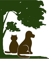Other additions to pattie's family are her cat, halloween; Cross Timbers Animal Medical Center Veterinarian In Flower Mound Texas