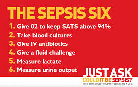 Common signs and symptoms include fever, increased heart rate, increased breathing rate, and confusion. Https Www Who Int Docs Default Source Integrated Health Services Ihs Infection Prevention And Control 2018 Sepsis Expert Meeting R Daniels Pdf Sfvrsn 144f6707 2