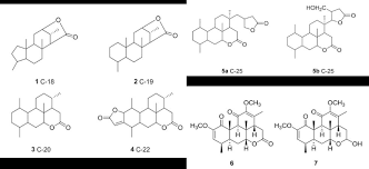 Image result for Quassia undulata