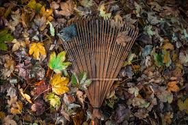 Each stihl shredder vac is actually two powerful tools in one: How To Deal With Falling Leaves Primrose Blog