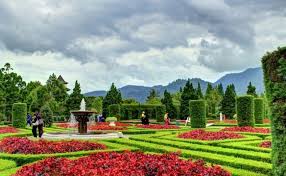 حديقة الزهور في بونشاك 9 أنشطة بين زهور على مدى بصرك الرحالة