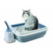 Imac Duo Beyaz Mavi Kedi Tuvaleti Markamama Com Tr