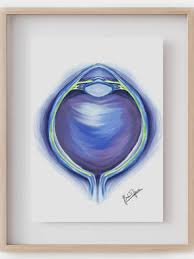 Image result for artistic divergence eyeballs