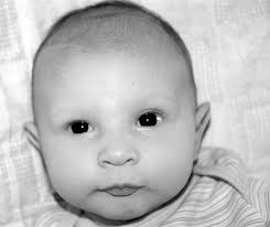 GRADUATES IN THIS ISSUE!