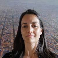 PDF) Gestión Urbana, Asociaciones Público-Privadas y Captación de  Plusvalías: El caso de la recuperación del Frente Costero del Río Paraná en  la Ciudad de Rosario, Argentina