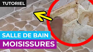 Tuto Comment Nettoyer Les Moisissures Dans Une Douche Italienne Youtube