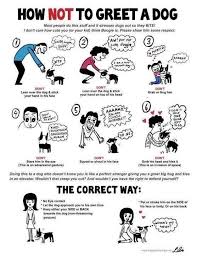 No Touch No Talk No Eye Contact Sign Google Search Dog Body Language Dog Training Obedience Dog Care