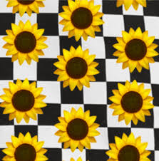 Check spelling or type a new query. Sunflowers Similar Hashtags Picsart