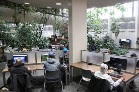 Porn can be seen on Washoe County Library computers. Heres why