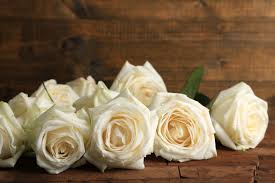 White flowers are often overlooked today for their more colorful counterparts, but the stark petals of these blossoms send their own beautiful message basic color meanings for white. Ultimate White Rose Meaning And Symbolism Guide Goldflorist
