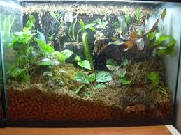 Pin On Terrariums Planters