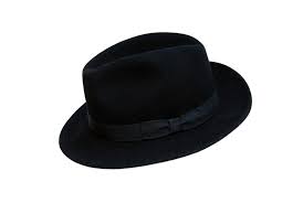 Fedora Definition And Meaning Collins English Dictionary