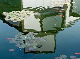 There are 4 coupons and 2 deals available. Suzhou Museum The Plan