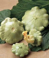 Peter Pan Hybrid Scallop Summer Squash Seeds And Plants Vegetable Gardening At Burpee Com Squash Seeds Squash Varieties Squash Plant