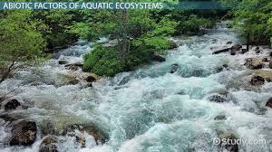 aquatic ecosystems abiotic factors