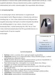 Keszthely (9km od hévíz) mesto keszthely s cca 21.000 obyvateľmi je najľudnatejšou obcou pri jazere balaton. Forrasok Es Patakok Esztergom Tersegeben Pdf Free Download