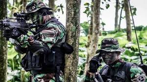 Ayo di download contoh surat lamaran pernyataan cpns 2018. Dibuka Pendaftaran Tni Ad Tamtama Gel I Ta 2019 Cek Persyaratan Tempat Dan Jadwal Seleksinya Tribun Timur