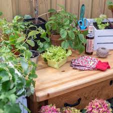 Diy Betonplatten Upcycling Fur Den Garten Leelah Loves In 2020 Diy Gartendeko Upcycling Fur Den Garten Deko Ideen