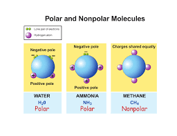 The elements on the upper right tend to have higher electronegativities, and those in the lower left tend to have lower electronegativities (of the periodic table) Polar And Nonpolar Molecules