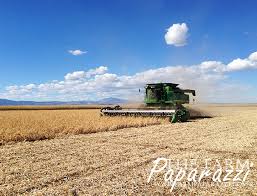 Pickett equipment's specialized bean harvest equipment line. Pinto Beans The Farm Paparazzi
