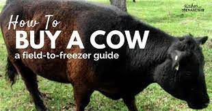 A quarter beef will generally use 4 cubic feet of freezer space. Getting Beef From Field To Freezer Your Guide To Buying A Cow