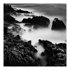 Beautiful Black And White Pictures Of Nature Beautiful Black And White Nature Photography Liked On Polyvore Featuring Backgrounds Ph Nature Photography White Photography Vintage Photography Inspiration