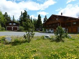 Pet care specialist onsite 24 hours, 7 days a week. Bear Paw Ranch Resort Reviews Iskut British Columbia Tripadvisor