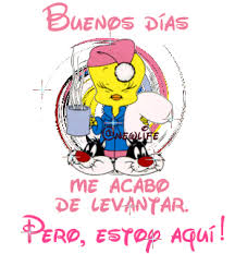 Piolin Con Mensajes Divertidos Para Descargar Gratis 0 watchers842 page views2 deviations. piolin con mensajes divertidos para