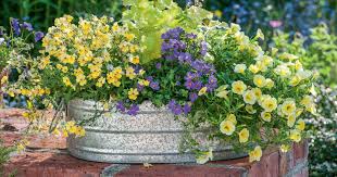 Naturliche Blutenpracht Sommerblumen Fur Den Landhausgarten Garten Sommerblumen Und Sommerblumen Balkon