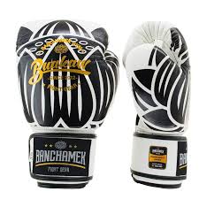 Here are few best brands based on the expert's opinion and top choices for beginner to pro boxers Buakaw Benchamek Boxing Gloves White Leather Fightwear Shop Europe