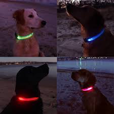 Neon Led Light Up Dog Collar Bright Reflective Flashion Statement