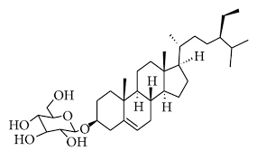 Image result for Grewia mollis