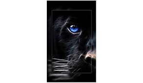 ❤ get the best neon wallpapers on wallpaperset. Amazon Com Neon Animals Wallpapers Appstore For Android
