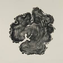 The Outside Institute