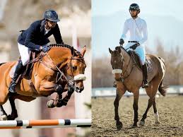 6 nayel nassar net worth. Nayel Nassar Biography Age Height Girlfriend Net Worth Starswiki
