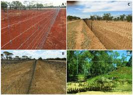 We did not find results for: Examples Of Pest Exclusion Fence Designs On Agricultural Lands Download Scientific Diagram