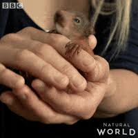 Stroke it baby (original mix). Stroke It Baby Gifs Get The Best Gif On Giphy