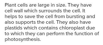 Use the arrow keys to increase and decrease the volume. Prepare A Model Of Plant Cell Or Animal Cell With Locally Available Materials Write Down The Brainly In