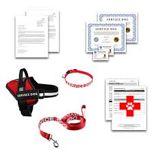 Review the statements to the left. Service Dog Registration Package United Service Dog