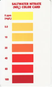 Api Water Test Kit Instructions