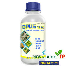 Opus 75EC